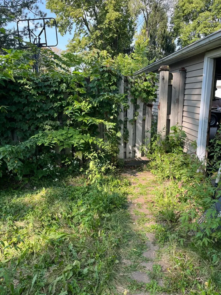 Fence & Path Cleanup — before